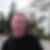 Photo de profil de Lionel Saubaux