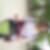 Photo de profil de Laurence Chargelegue