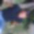Photo de profil de Sandy Magnien