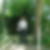 Photo de profil de Gilbert Dargent