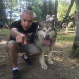 Photo de profil de Karim Slimani