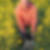 Photo de profil de Bruno Appéré