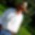 Photo de profil de Olle Engstrand