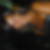 Photo de profil de Horya El Brazzi