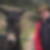 Photo de profil de Bruno Buffin
