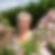 Photo de profil de Christiane Bracard