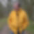 Photo de profil de Philippe Lacotte