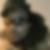 Photo de profil de Lorry Bourre
