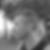Photo de profil de Laurent Salvat