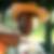 Photo de profil de Omar Gueye