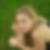 Photo de profil de Chloé Zemelka
