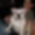 Photo de profil de Eddy Gosselin