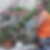 Photo de profil de Gerard Evrard