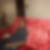 Photo de profil de Mesmin Lohounme