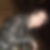 Photo de profil de Renaud Blanchet