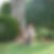 Photo de profil de Hortense Joerger