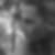 Photo de profil de Frederic Lenferd