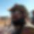 Photo de profil de Yannick Mauron