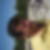 Photo de profil de Lucien Ibba