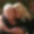 Photo de profil de Nicole Got