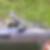 Photo de profil de Denis Offroy