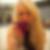 Photo de profil de Aline Favre