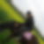 Photo de profil de Franck Besset