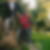 Photo de profil de Annick Cornier