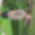 Photo de profil de Bruno Bouquet