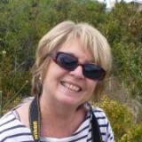 Photo de profil de Dominique Heller