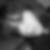 Photo de profil de Marine Balland