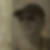 Photo de profil de Regis Haghebaert