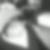 Photo de profil de Borin You
