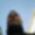 Photo de profil de Yoann Guichard