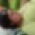 Photo de profil de Ablak Cigdem