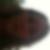 Photo de profil de Jennyfer Riotte