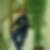Photo de profil de Amine Koubi