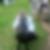 Photo de profil de Madeleine Amlehn