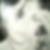 Photo de profil de Annie Drai
