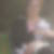 Photo de profil de Magali Geneste