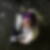 Photo de profil de Charlotte Voz