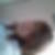 Photo de profil de Kelly Brulez