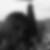 Photo de profil de Sybille Collin