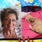 Photo de profil de Gisele Verger