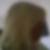 Photo de profil de Florence Moucron