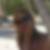 Photo de profil de Karine Tambicannou ép VISENTIN