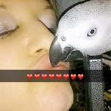 Photo de profil de Sandrine Guillotte