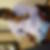 Photo de profil de Patrick Matsimouna