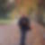 Photo de profil de Francis Hochard
