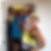 Photo de profil de Maureen Bitor
